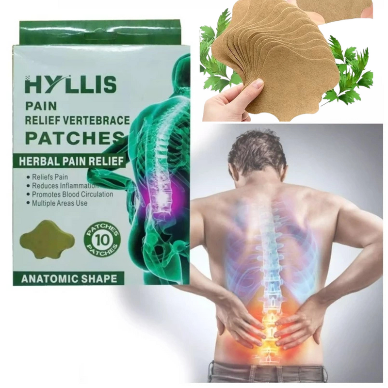 Adesivos Hyllis